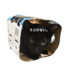 七味 ＆ キュウベエ（個別スタンプ：9）