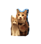 にゃんこーず2♥愛猫たちのプチ✩コスプレ（個別スタンプ：5）