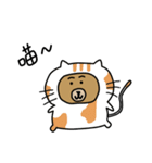 Dodo bear and cool cat（個別スタンプ：7）