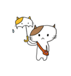 Dodo bear and cool cat（個別スタンプ：10）