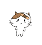 Dodo bear and cool cat（個別スタンプ：13）
