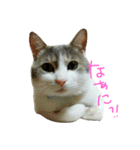 つぶみるつき スタンプ（個別スタンプ：2）