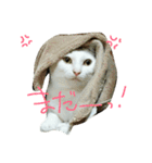 つぶみるつき スタンプ（個別スタンプ：10）