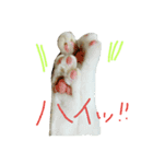 つぶみるつき スタンプ（個別スタンプ：15）