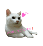 つぶみるつき スタンプ（個別スタンプ：16）