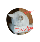 つぶみるつき スタンプ（個別スタンプ：22）