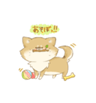 おいぬといっしょ（個別スタンプ：11）
