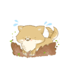 おいぬといっしょ（個別スタンプ：37）