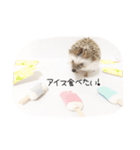 ハリネズミのれんくん（個別スタンプ：7）