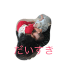 毎日Tota！（個別スタンプ：8）