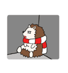 ヘッジホッグ 小さなQ（個別スタンプ：10）