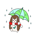 ヘッジホッグ 小さなQ（個別スタンプ：18）