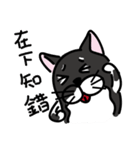 Toro Cat New（個別スタンプ：3）