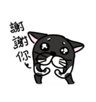 Toro Cat New（個別スタンプ：4）