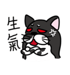 Toro Cat New（個別スタンプ：5）