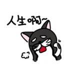 Toro Cat New（個別スタンプ：7）