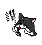 Toro Cat New（個別スタンプ：10）
