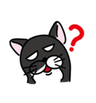 Toro Cat New（個別スタンプ：14）