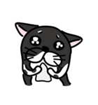 Toro Cat New（個別スタンプ：16）