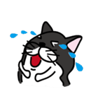Toro Cat New（個別スタンプ：17）