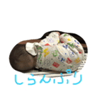 赤ちゃん顔（個別スタンプ：13）
