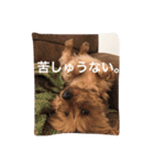 デカヨーキーのコロン（個別スタンプ：8）