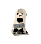 ぱんだせんせい 1（個別スタンプ：11）