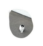 野良猫スタンプ（個別スタンプ：7）