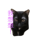 黑米的內心世界（個別スタンプ：1）