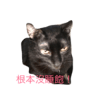 黑米的內心世界（個別スタンプ：4）