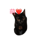 黑米的內心世界（個別スタンプ：7）
