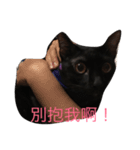 黑米的內心世界（個別スタンプ：8）