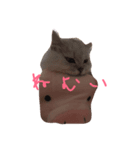 チンチラマリンちゃん（個別スタンプ：1）