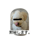 ドッグリフレオッジ 3（個別スタンプ：14）