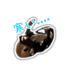 うさぎのオレン[日常]（個別スタンプ：22）