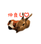 うさぎのオレン[日常]（個別スタンプ：24）