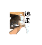 うさぎのオレン[日常]（個別スタンプ：25）
