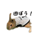 うさぎのオレン[日常]（個別スタンプ：34）