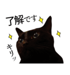 Thank you for my family.（個別スタンプ：2）