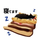Thank you for my family.（個別スタンプ：3）