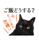 Thank you for my family.（個別スタンプ：5）