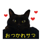 Thank you for my family.（個別スタンプ：7）