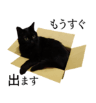 Thank you for my family.（個別スタンプ：8）