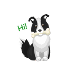 Polly the Border Collie（個別スタンプ：1）
