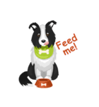 Polly the Border Collie（個別スタンプ：2）