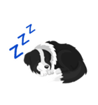 Polly the Border Collie（個別スタンプ：6）