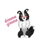 Polly the Border Collie（個別スタンプ：7）