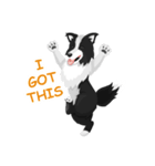 Polly the Border Collie（個別スタンプ：8）