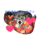 秋田さんの日々（個別スタンプ：6）