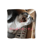 たまこ（個別スタンプ：8）
